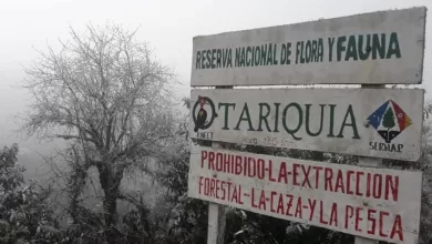 La reserva puede sufrir daños irreversibles