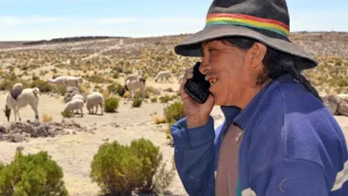 Las brechas digitales no son solo tecnológicas.