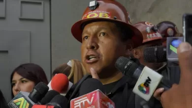 El máximo ejecutivo de la Central Obrera Boliviana (COB), Mario Argollo APG