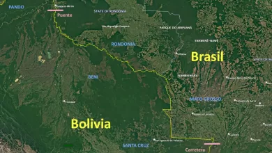 La línea fronteriza divide dos realidade de un lado, bosque en pie; del otro, la huella extensa de la expansión agropecuaria. Foto Google Earth Pro
