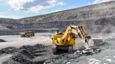 La sobreexplotación de los recursos naturales, trae consecuencias devastadoras para el medio ambiente