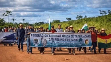 Marchan contra la Ley 157
