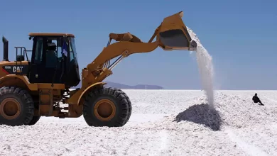 Bolivia ha identificado recientemente significativos yacimientos de tierras raras en su territorio