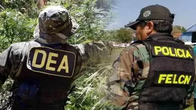 El funcionamiento de la DEA, en tomado por actores políticos como una forma de intervencionismo