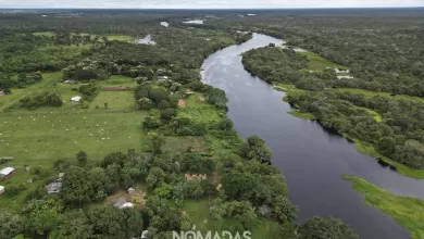 La majestuosidad de la Amazonia boliviana, abrazada por ríos y comunidades indígenas. Imagen de Karina Segovia Revista Nómadas.