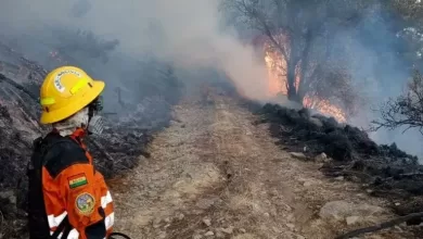 Bolivia declara estado de desastre en San Lorenzo por avanzados incendios forestales en Tarija