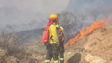Incendios Forestales en Tarija...