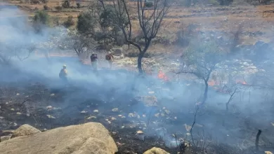 Incendios en Tarija