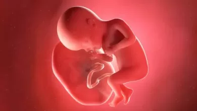 Por qué existe el negocio del tráfico de placenta humana