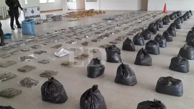 FELCN secuestra 520 paquetes de marihuana en Montero