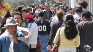 Los rubros que sostienen el empleo cotidiano de las familias bolivianas se desplomaron